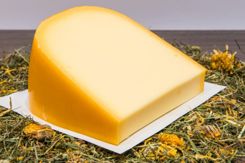 Gouda Käse JUNG “Milde Hendrik” (Käsespezialist Hop, Kleve)